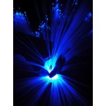 LA LUZ AL ALCANCE DE LA MANO