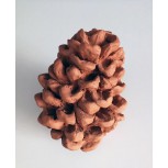 PIÑA