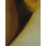 Heridas del cuerpo, Serie 3, Obra 4