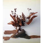 IKEBANA VISUAL