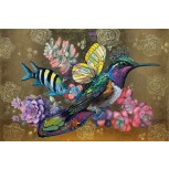 Rey Colibrí con Capullo