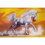 CABALLO BLANCO